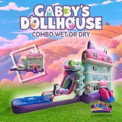 Gabby Dollhouse Combo