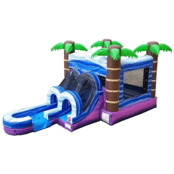 IMG 7652 1772021338 1 Tropical Bounce and Slide Combo