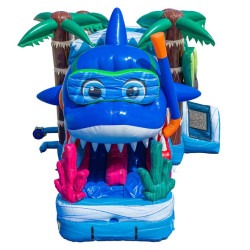 656073026 3458658454307320 7842104199627943840 n 1774304352 1 Baby Shark Dual Lane Bounce and Slide Combo
