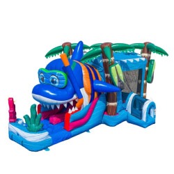 656679089 3458658270974005 6039180941409951743 n 1774304352 1 Baby Shark Dual Lane Bounce and Slide Combo