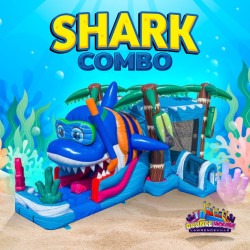 Shark Dual Lane Bounce and Slide Combo