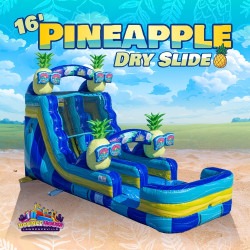 16' Pineapple Dry Slide