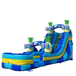 DJI 20260810094138 0151 D 1786479338 16' Pineapple Dry Slide