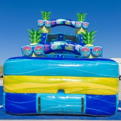 16' Pineapple Water Slide DJI 20260810094720 0163 D 1786479178 16' Pineapple Water Slide